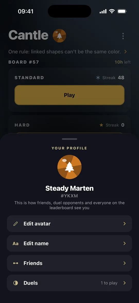 The profile sheet with Edit avatar, Edit name, Friends and Duels